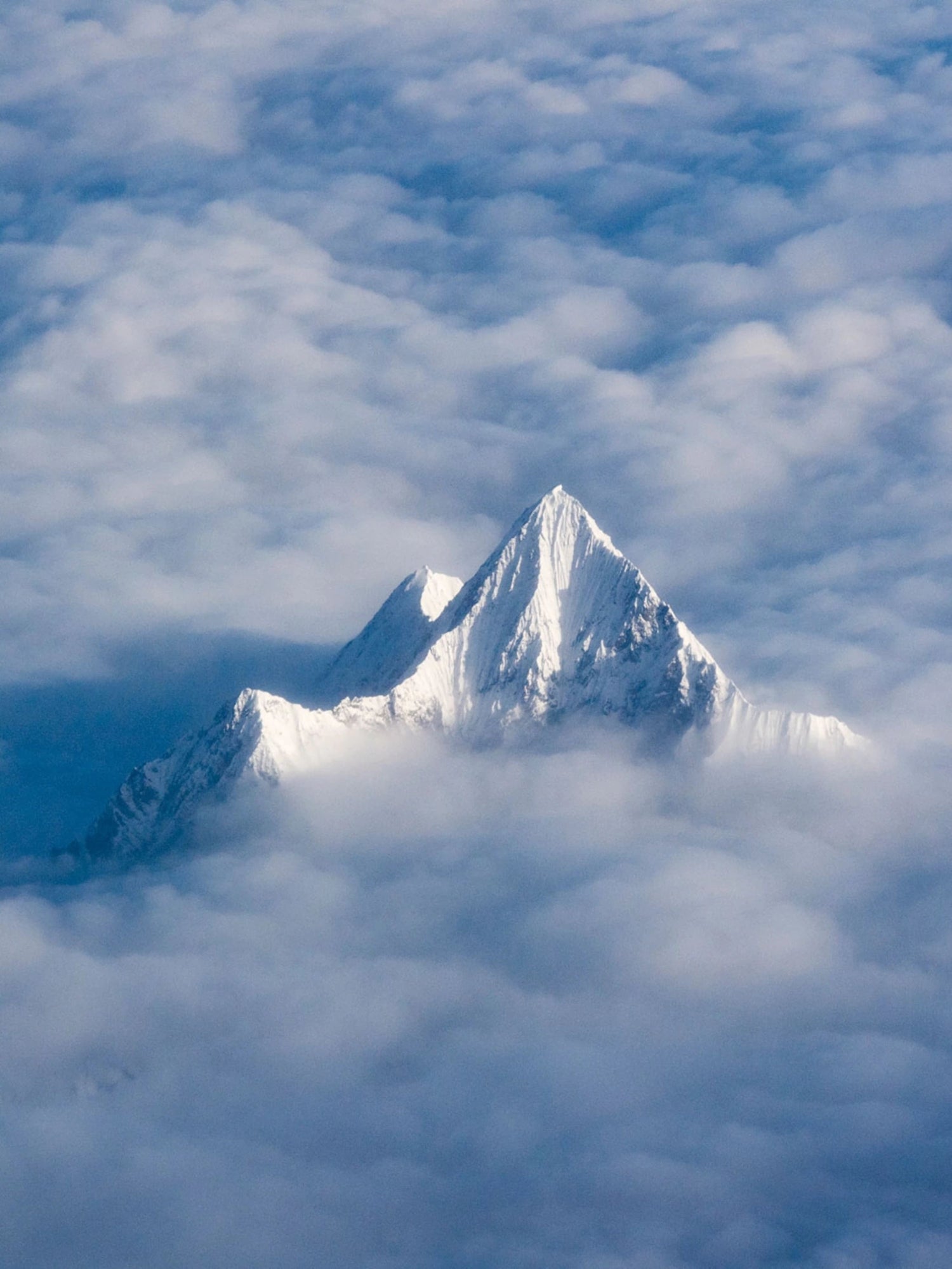 Remove the Ceiling - Leander